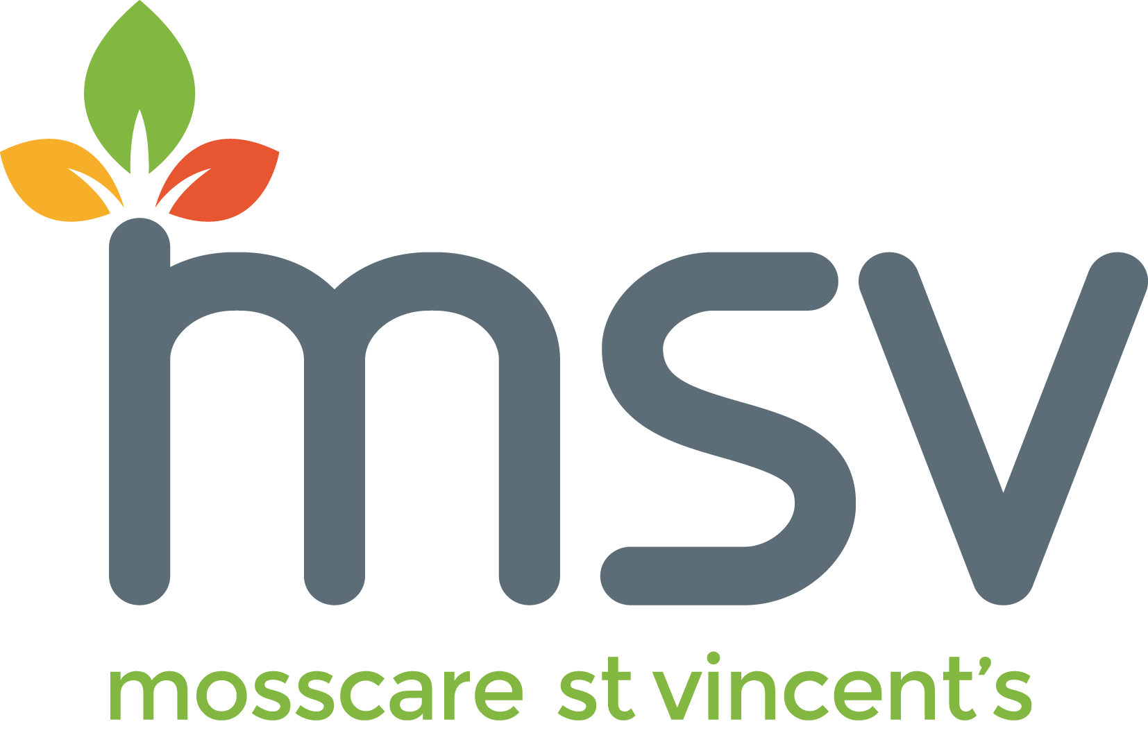 msv