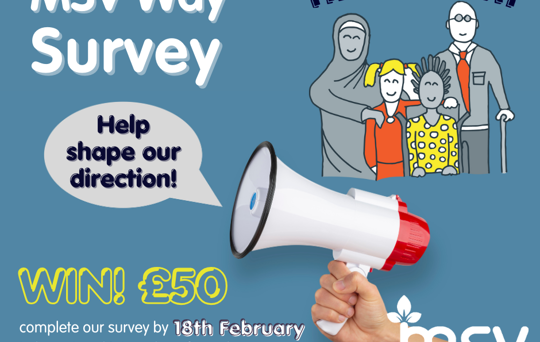 Help Shape the Future of MSV