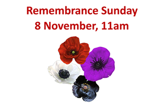 Remembrance Day - Activity Pack
