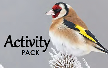 Festive Beat the Boredom Activity Pack