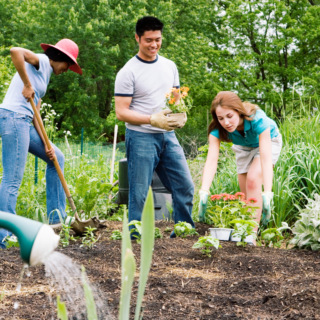 Group of people gardening