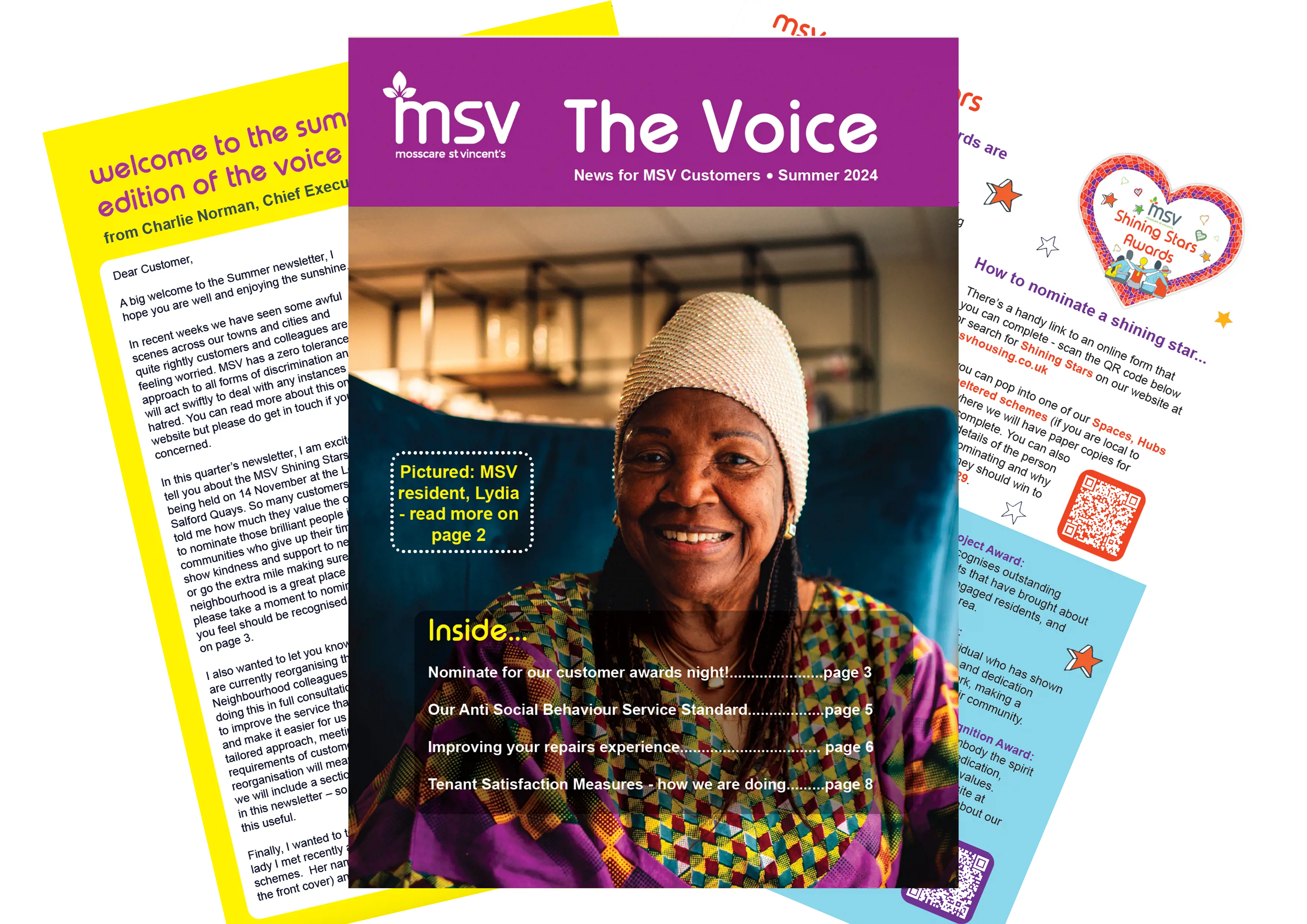 The Summer Voice (1)