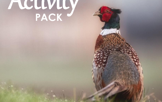 Spring / Easter edition of Beat the Boredom Activity Pack