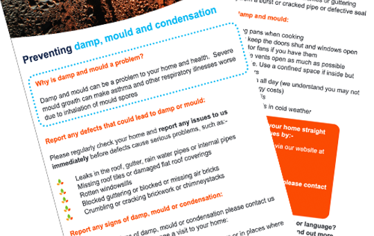 Spot the Signs - Damp and Mould