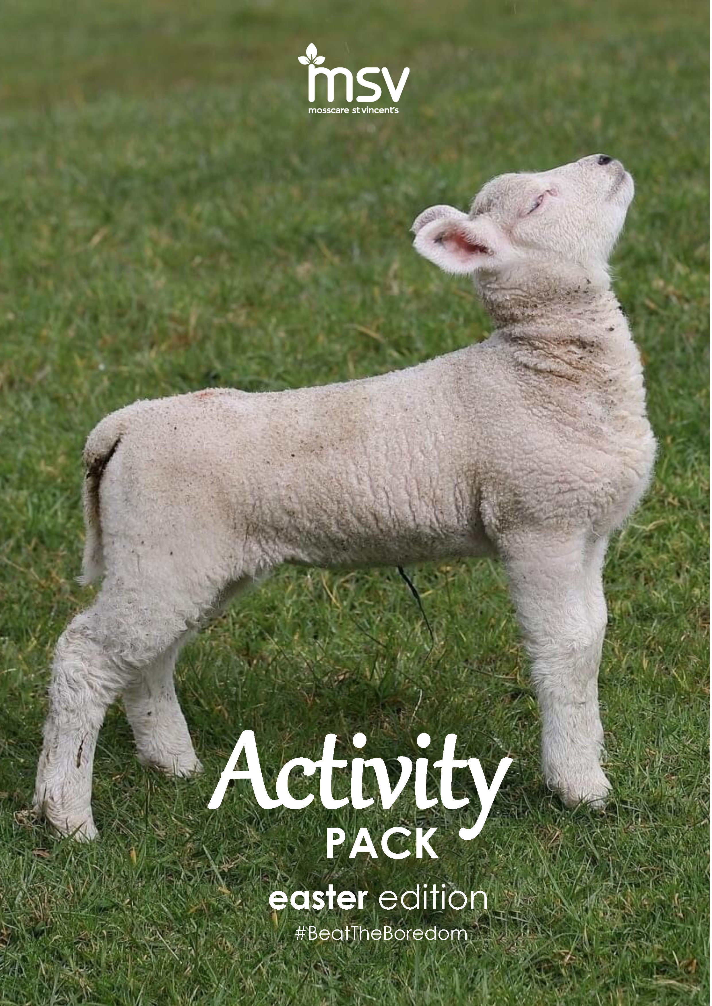 MSV Beat The Boredom Activity Pack - Easter edition