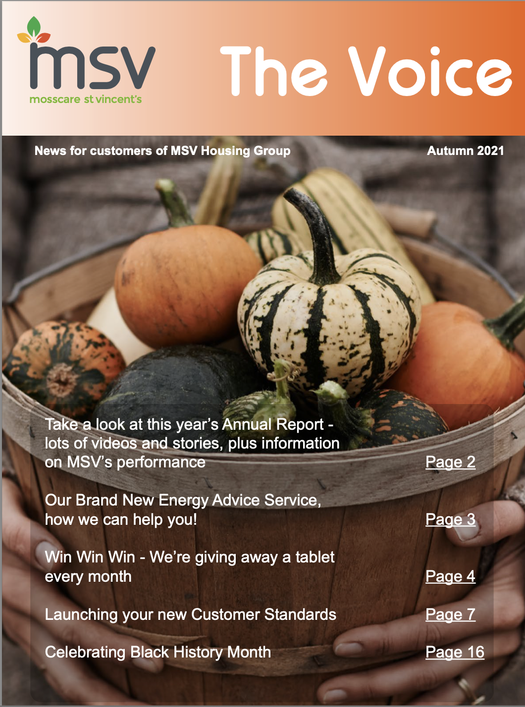 Our Autumn newsletter is out now!