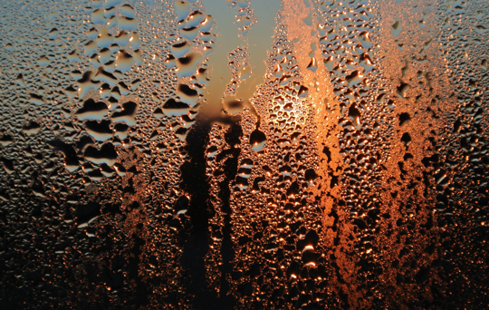 Have you got a damp, mould or condensation problem in your home?